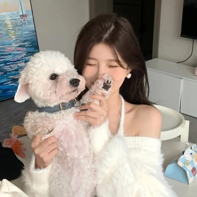 间谍兔洞第一季